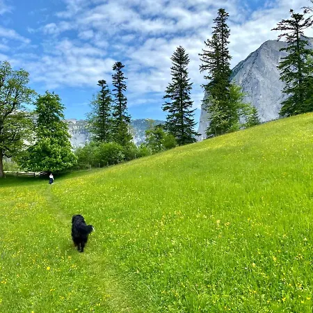Bergvilla Oberon - Your Austrian * Bad Aussee