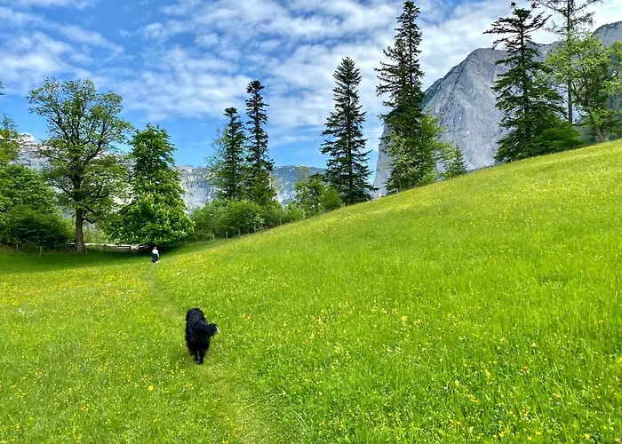 Bergvilla Oberon - Your Austrian * Bad Aussee